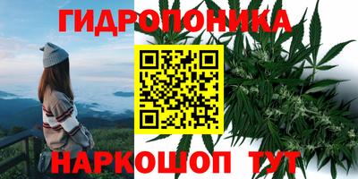 прущие крисы Усть-Илимск