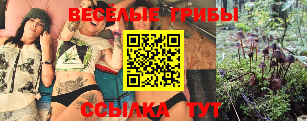 Галлюциногенные грибы прущие грибы Белая Калитва