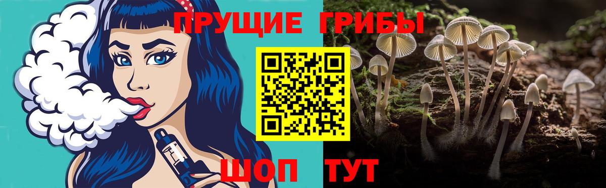 Белая Калитва  Псилоцибиновые грибы GOLDEN TEACHER  Псилоцибиновые грибы GOLDEN TEACHER  Вход с VPN 